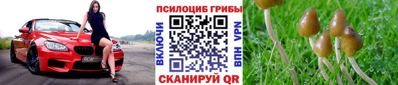 Псилоцибиновые грибы MAGIC MUSHROOMS  Купить закладки  Таруса 